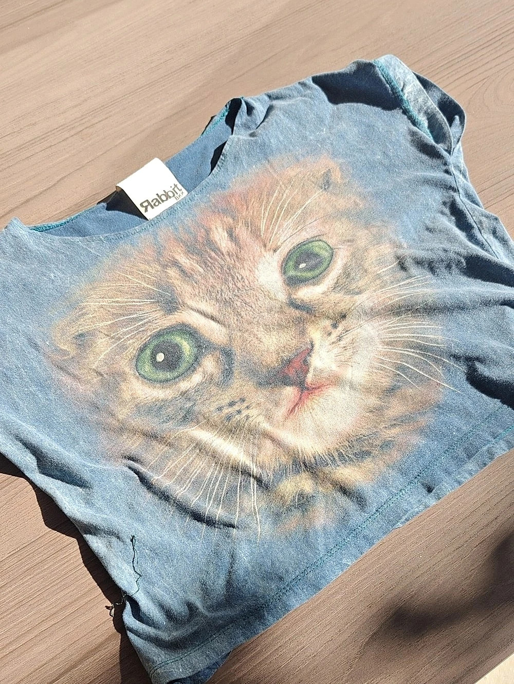 Rabbit BKK Graphic Cat Tee in Blue & Orange